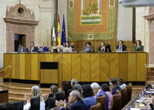 El Pleno del Parlamento aplaude tras la lectura de la Declaración Institucional