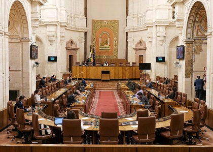 Imagen del Pleno durante la última sesión de la Diputación Permanente