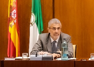 Ángel Marrero, durante una sesión de comisión