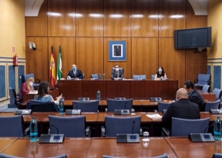 La Comisión de estudio, en una reunión reciente