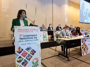 La presidenta del Parlamento, durante su intervención