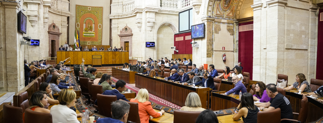 Imagen adjunta