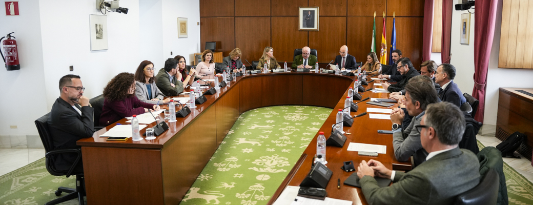 La Diputación Permanente en su reunión de hoy