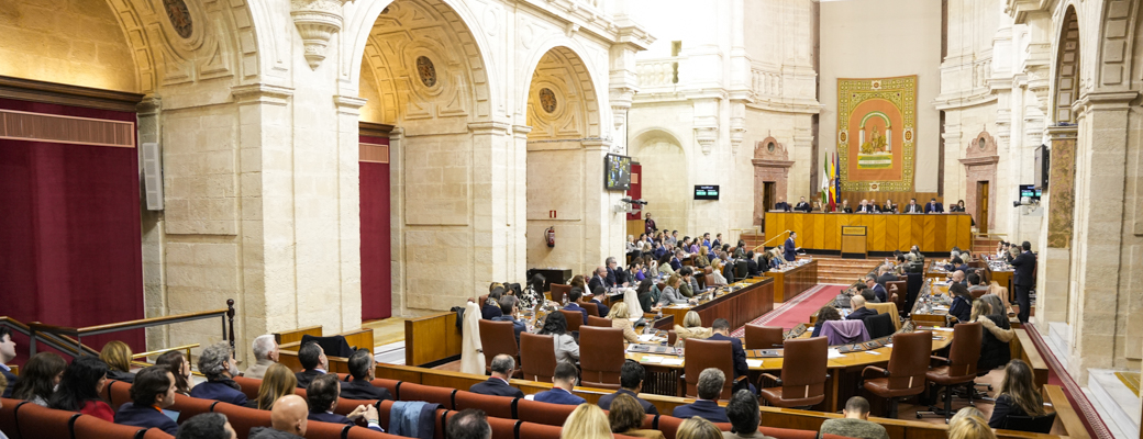 Imagen adjunta