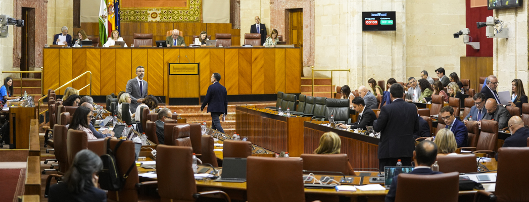 Fotografía de portada para la noticia de id:193554