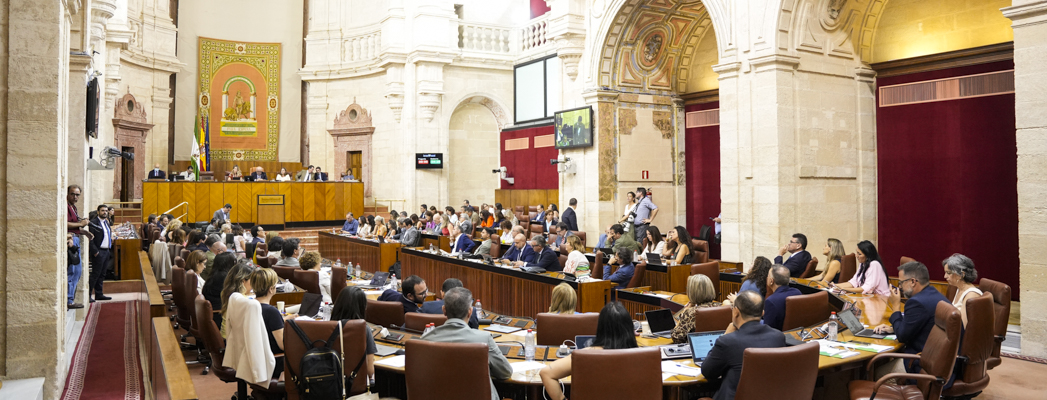 Fotografía de portada para la noticia de id:194554