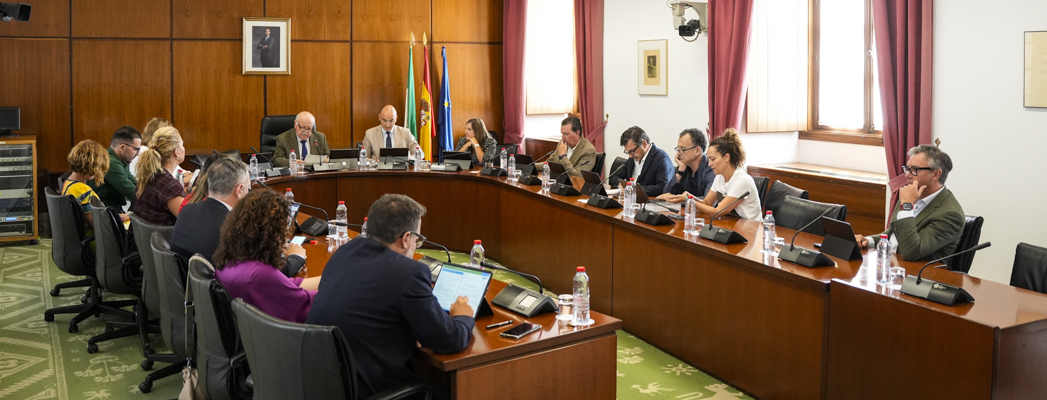 Imagen adjunta