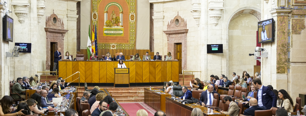 Imagen adjunta