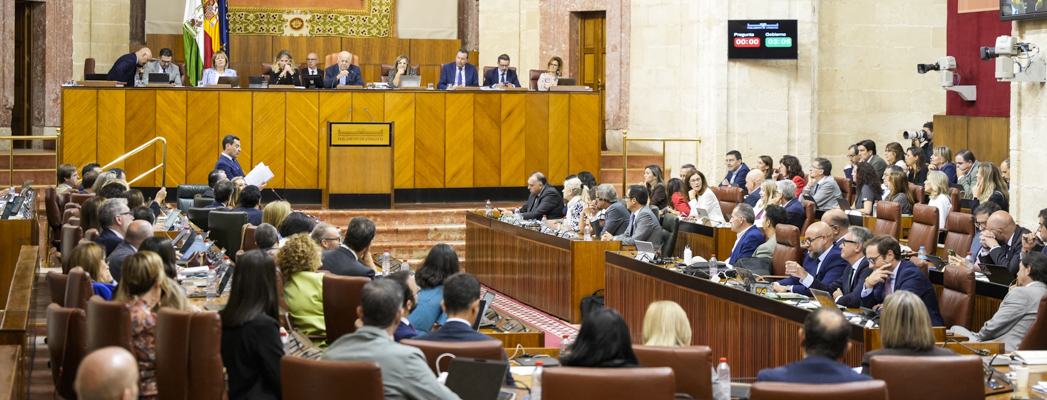 Fotografía de portada para la noticia de id:196734