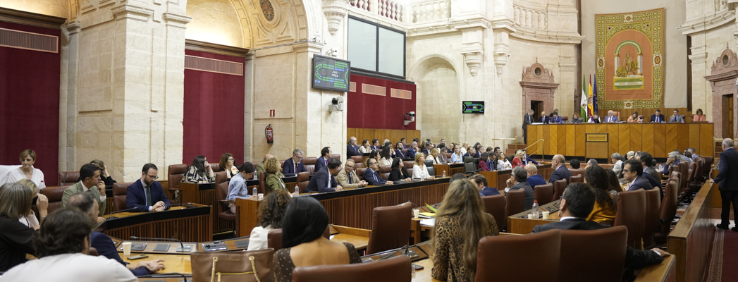 Imagen adjunta