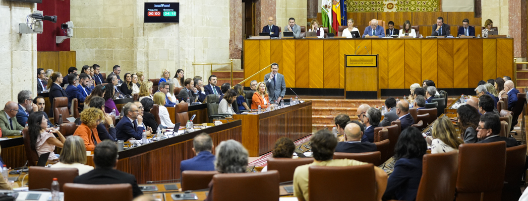 Imagen adjunta