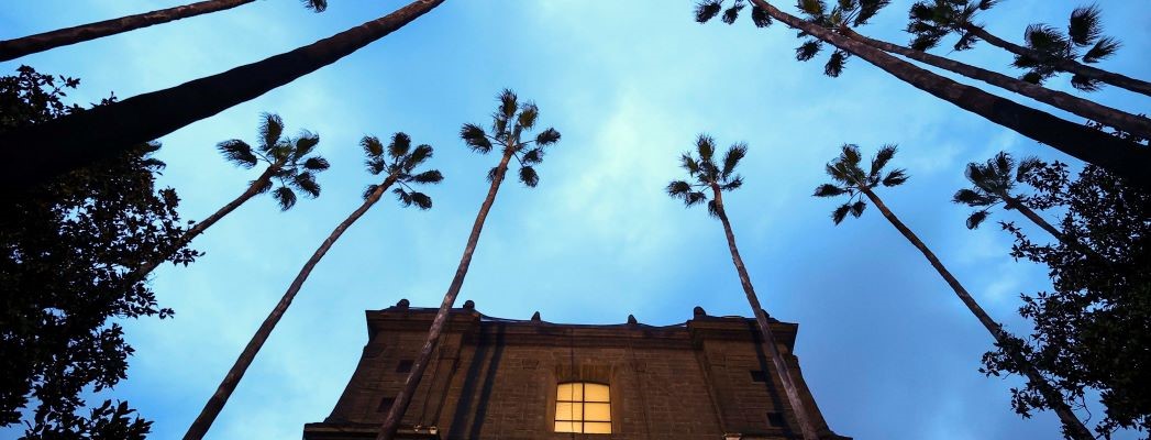 Fotografía de portada para la noticia de id:197395