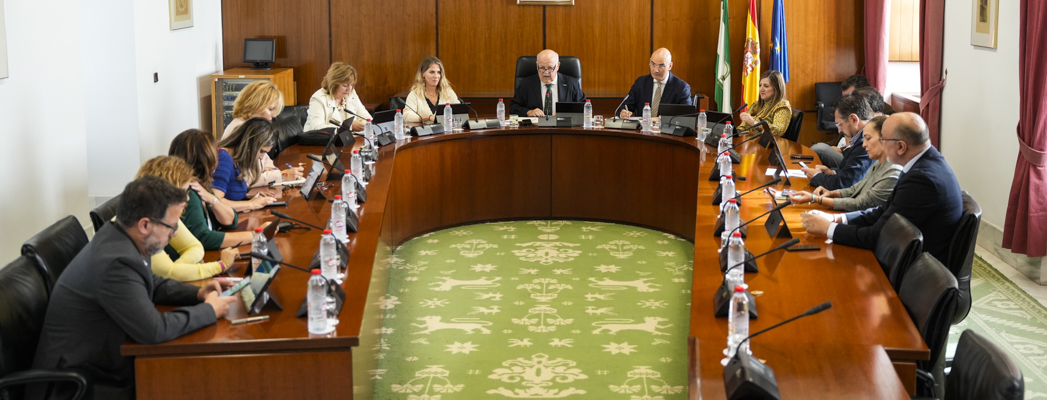 Fotografía de portada para la noticia de id:197554