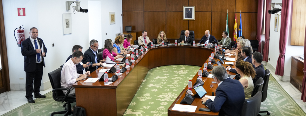 Fotografía de portada para la noticia de id:203414