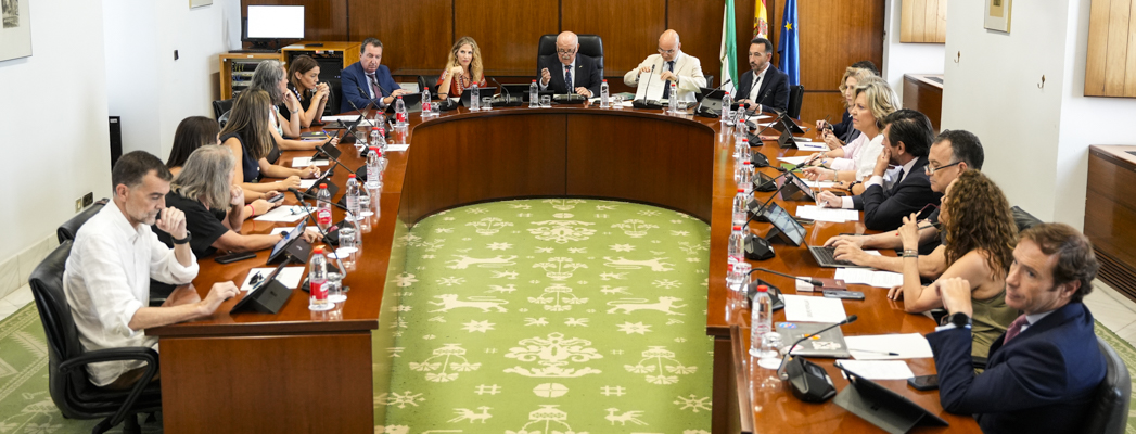 Fotografía de portada para la noticia de id:203835