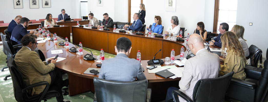 Fotografía de portada para la noticia de id:205974