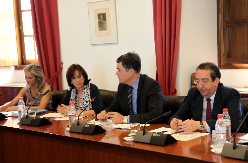 El portavoz del Grupo Popular, Carlos Rojas, interviene en la sesi�n
