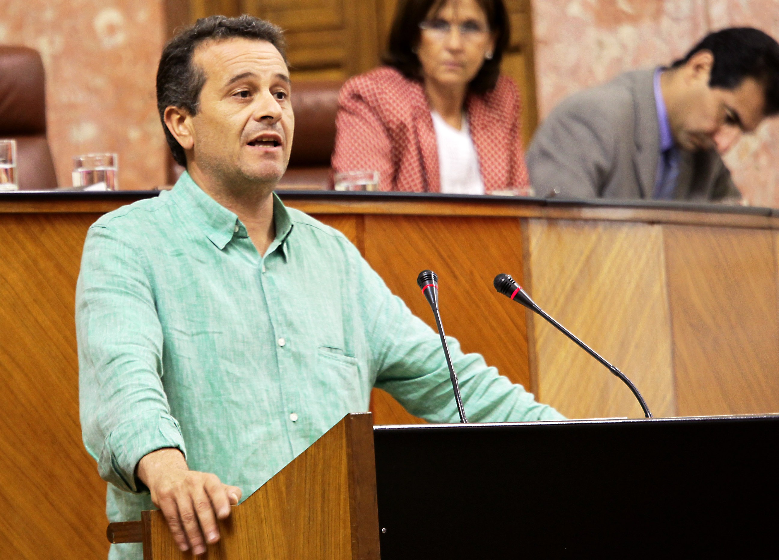 El portavoz del Grupo parlamentario IULV-CA, Jos� Antonio Castro