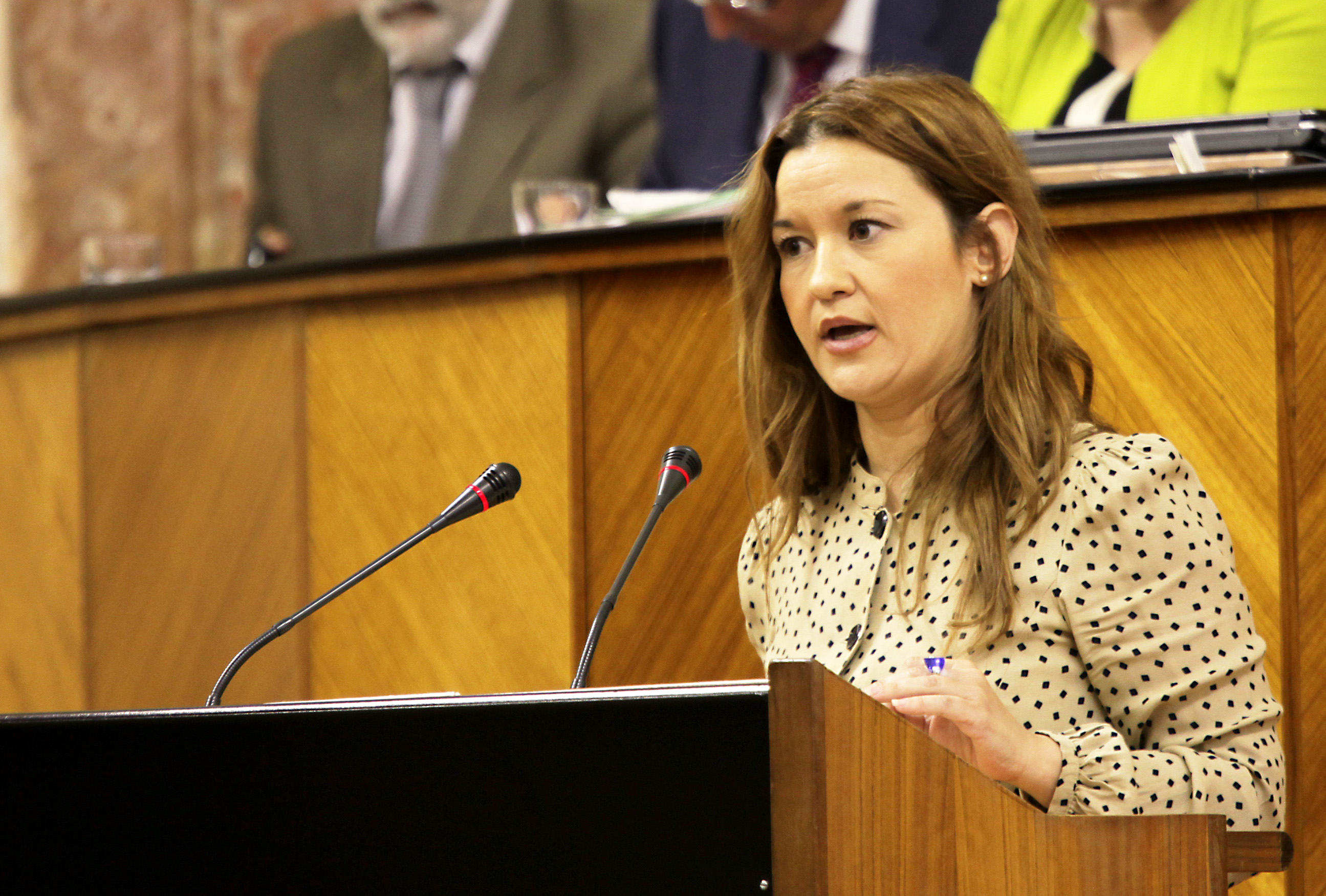 La diputada del Grupo Socialista Ver�nica P�rez interviene en el debate