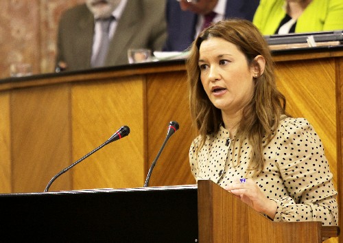 La diputada del Grupo Socialista Ver�nica P�rez interviene en el debate
