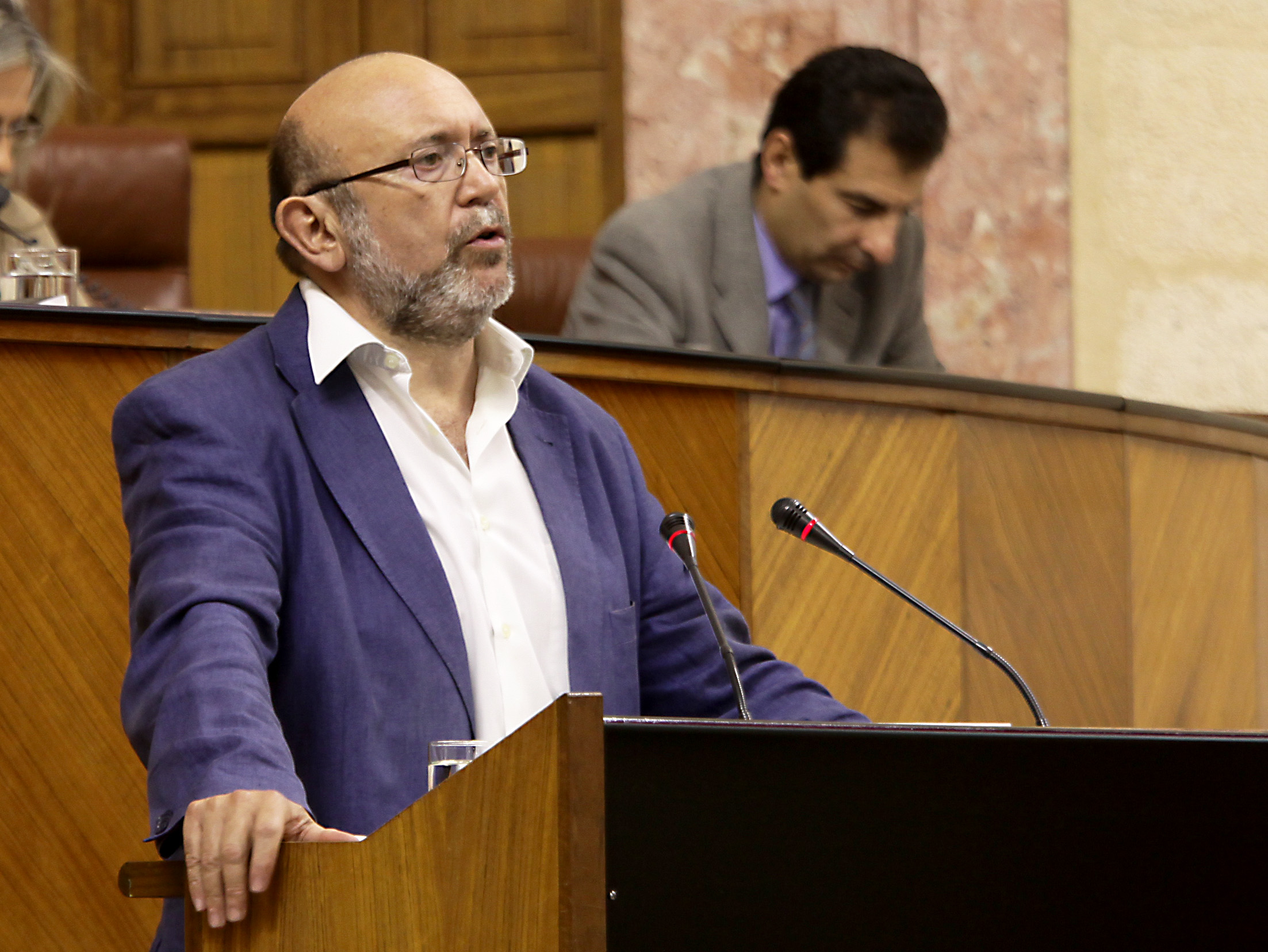 Ignacio Garc�a, del Grupo parlamentario IULV-CA