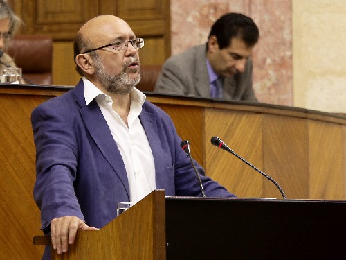 Ignacio Garc�a, del Grupo parlamentario IULV-CA