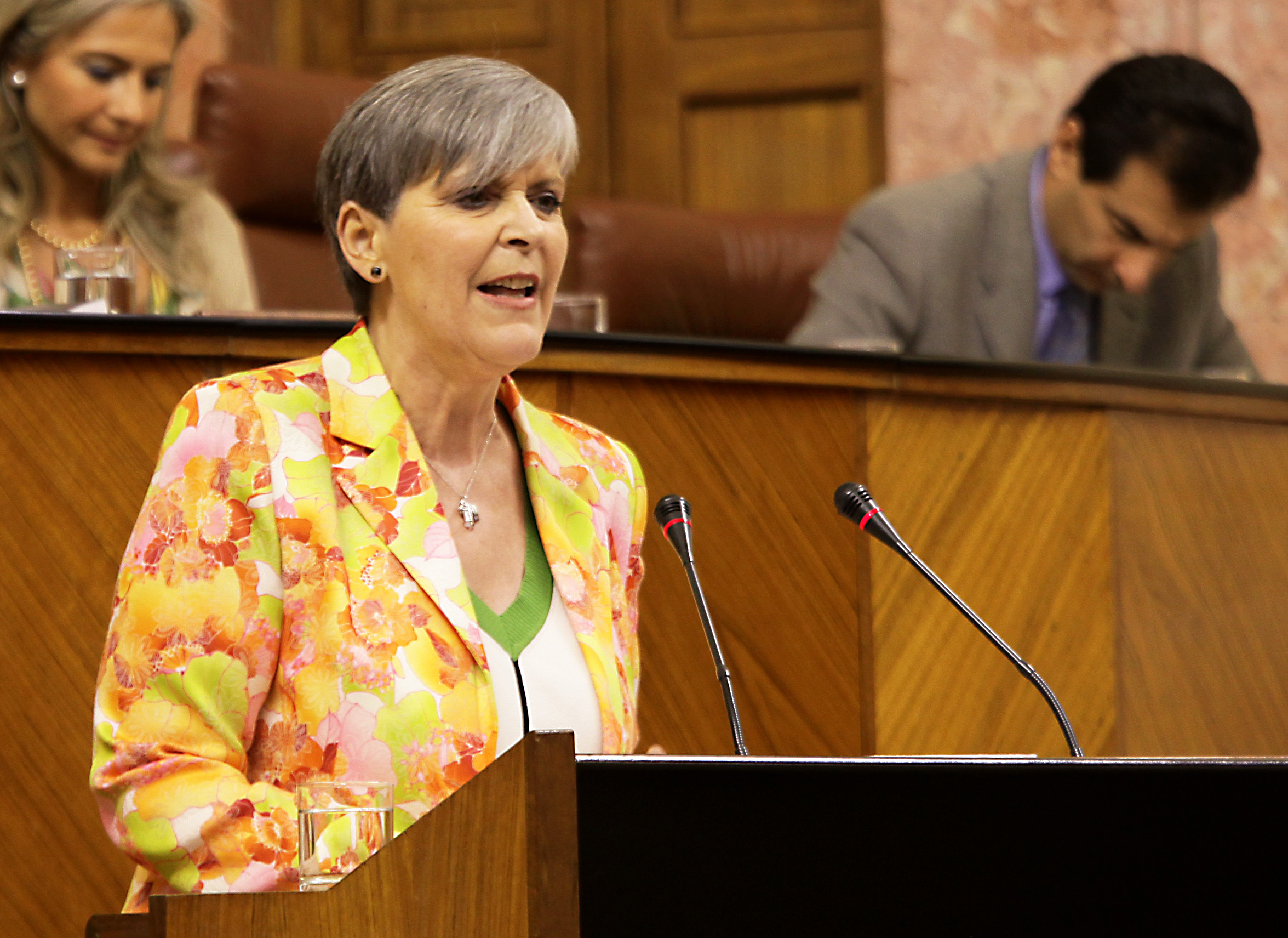 Araceli Carrilo, del Grupo parlamentario Socialista