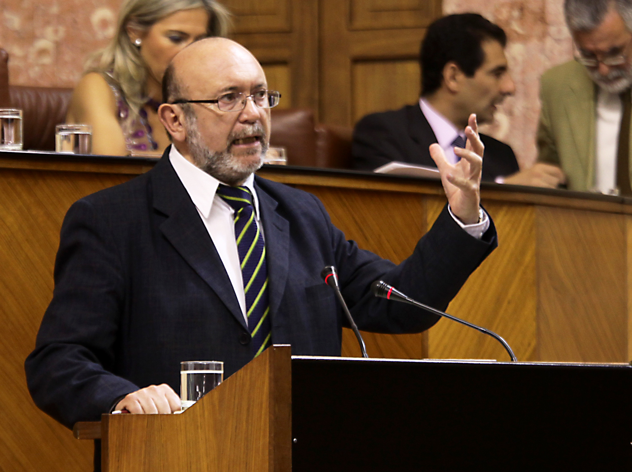 El diputado del Grupo IULV-CA Ignacio Garc�a Rodr�guez interviene en el Pleno