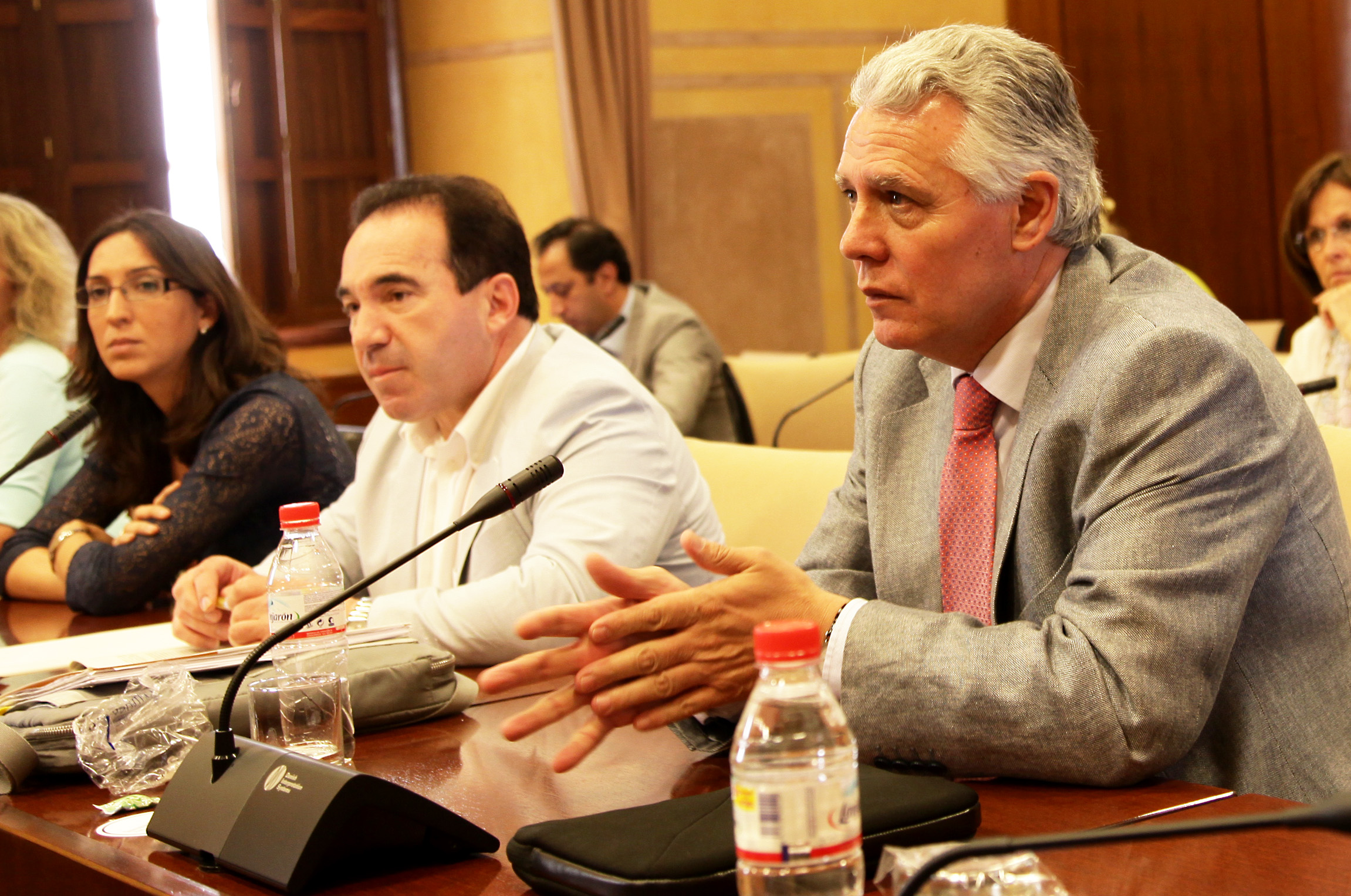 El diputado del Grupo Socialista Francisco Menacho, en primer t�rmino, ha sido elegido presidente de la Comisi�n de Salud y Bienestar Social