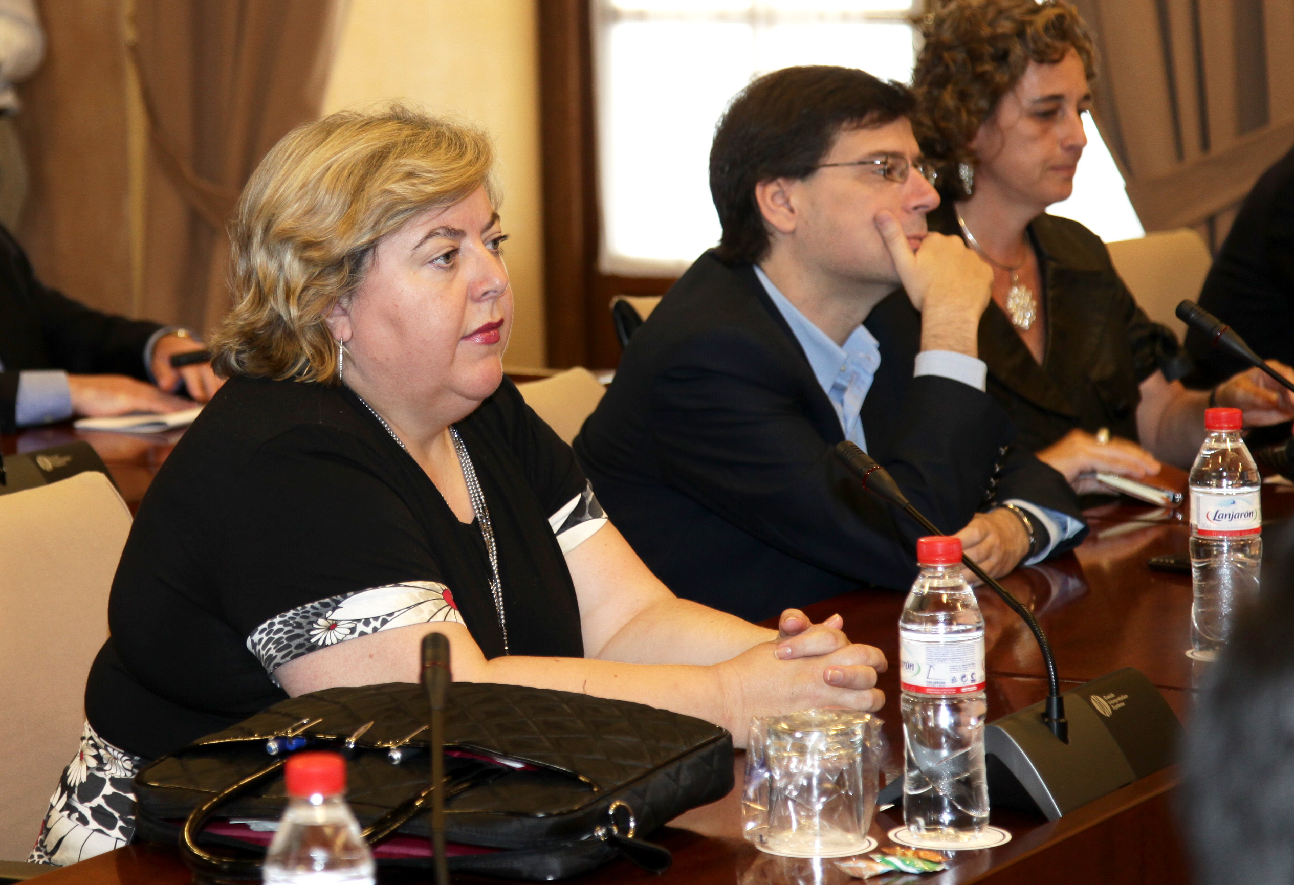 La diputada socialista, Clara Aguilera, nueva presidenta de la Comisi�n de Econom�a, Innovaci�n, Ciencia y Empleo