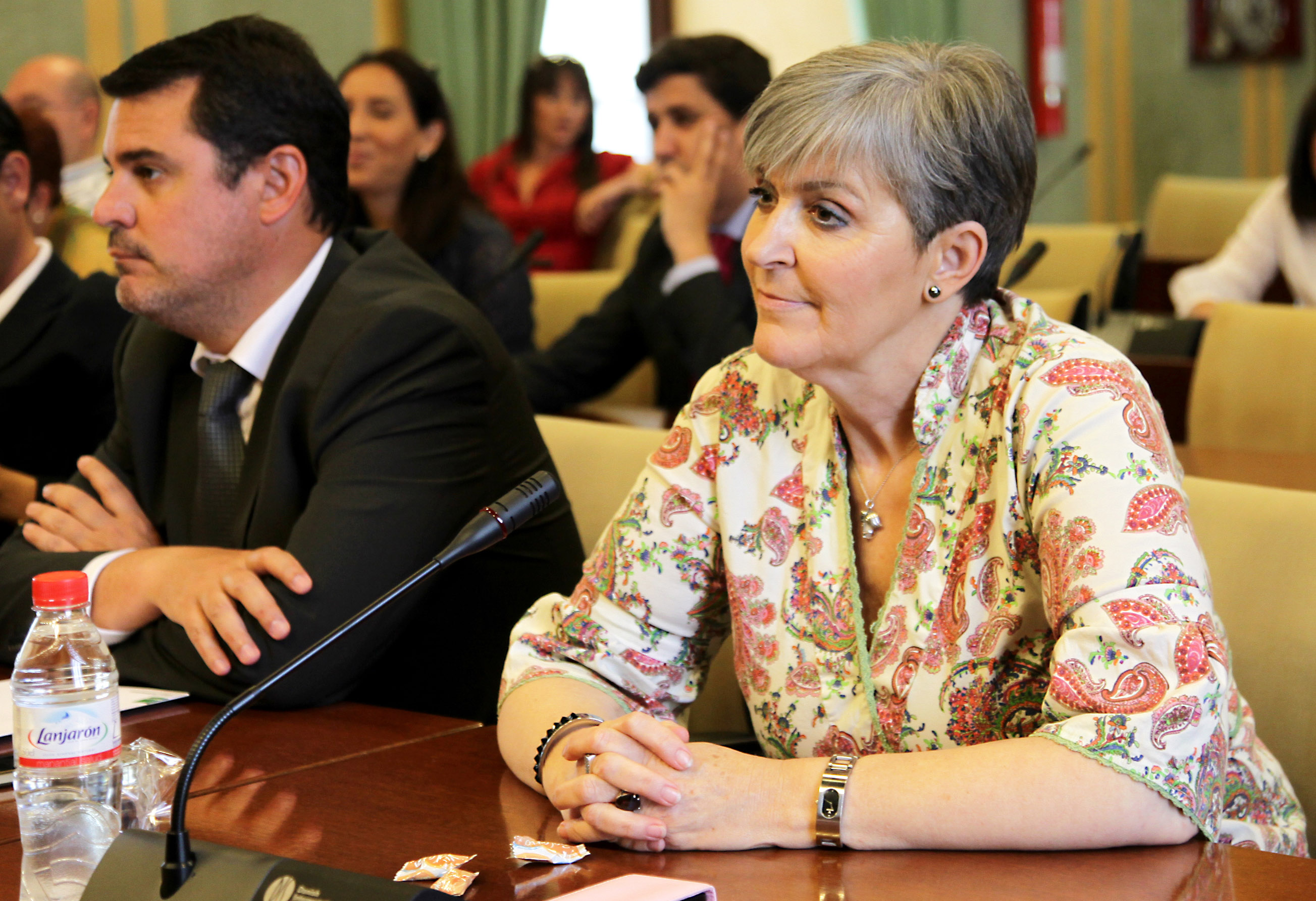 Araceli Carrillo, del Grupo Socialista, elegida presidenta de la Comisi�n de Educaci�n