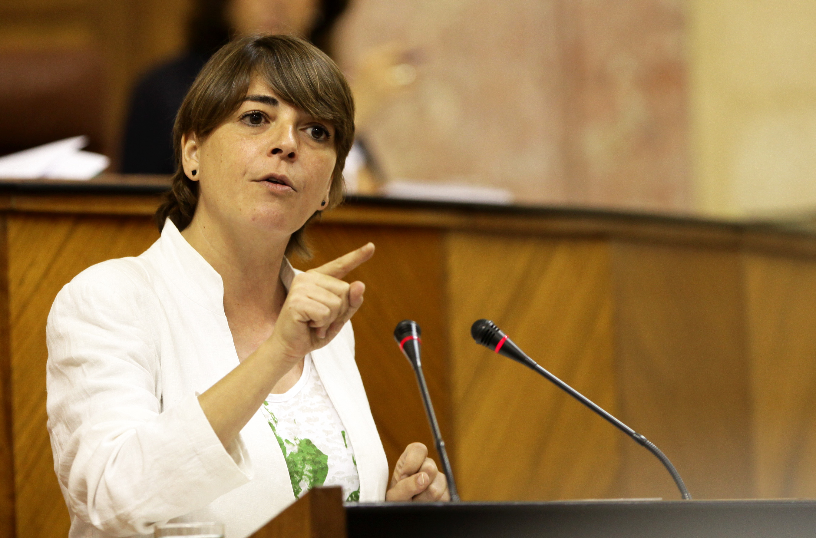 La consejera de Fomento y Vivienda, Elena Corts, responde a la interpelacin del Grupo Popular