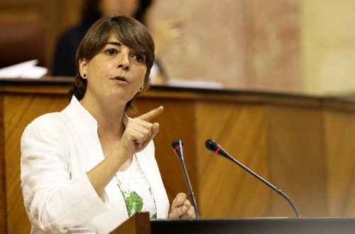 La consejera de Fomento y Vivienda, Elena Corts, responde a la interpelacin del Grupo Popular