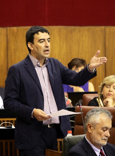 El portavoz del Grupo Socialista, Mario Jimnez, interviene en el Pleno