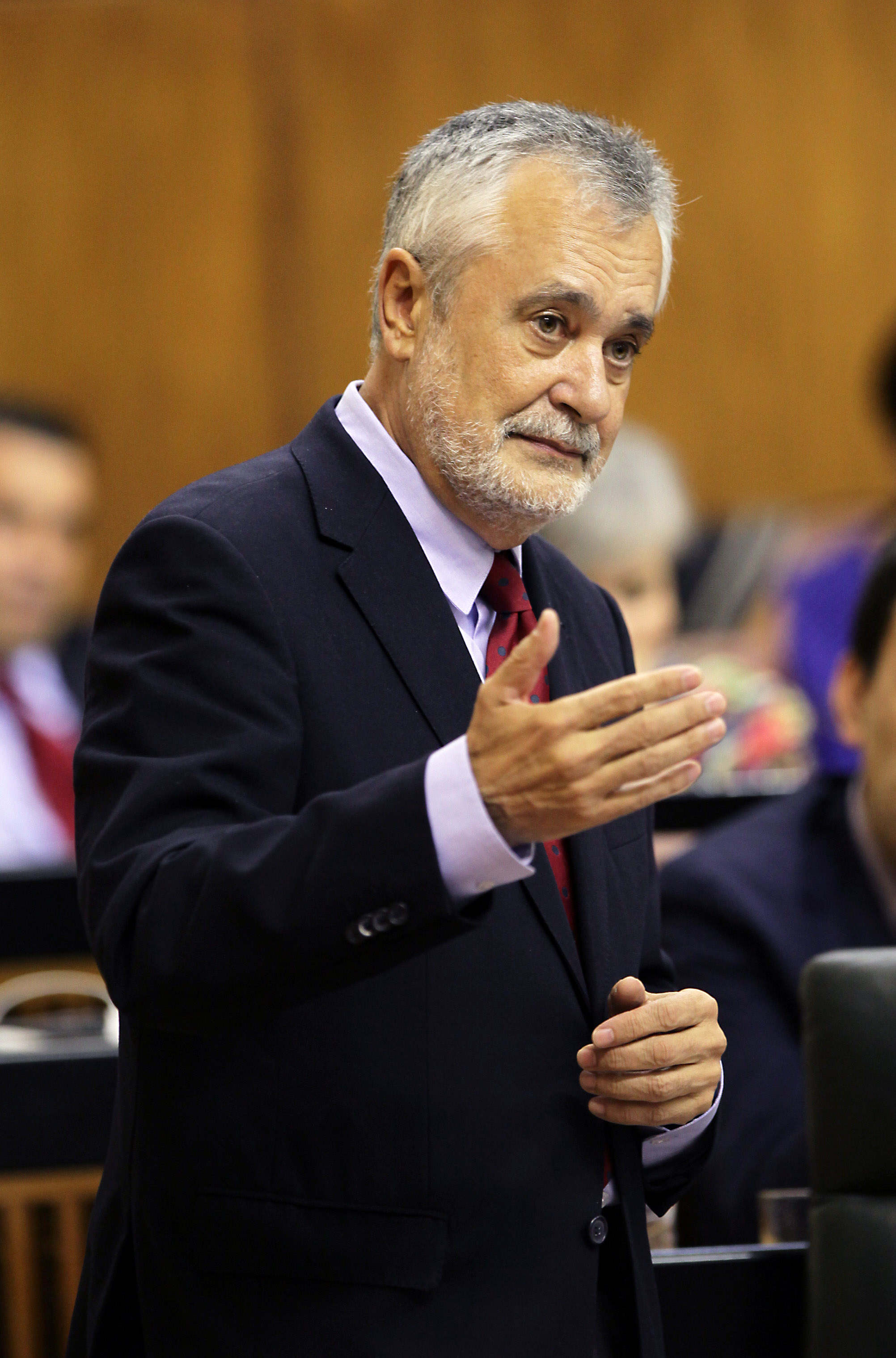 Jos Antonio Grin, presidente de la Junta de Andaluca