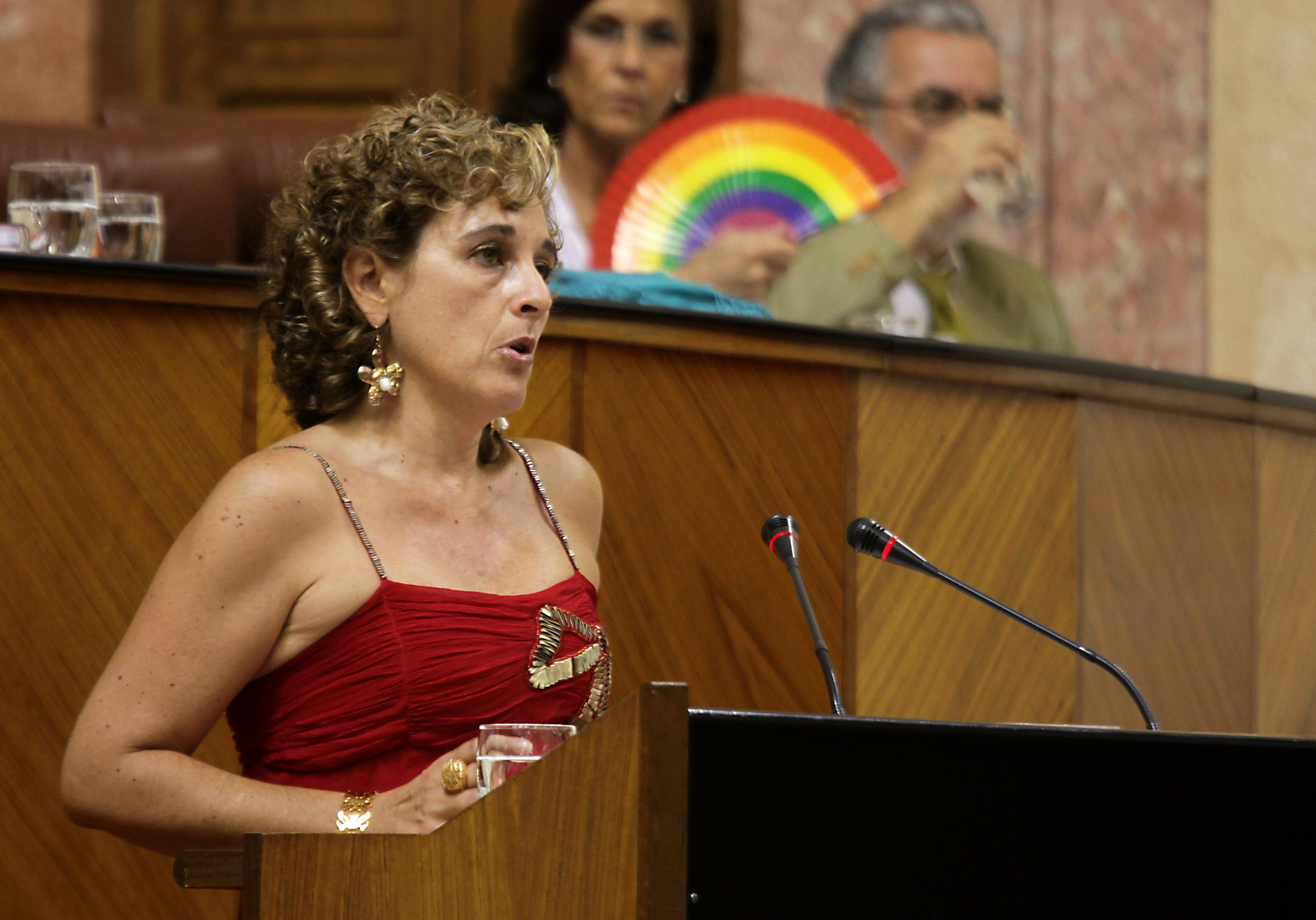 La diputada del Grupo Socialista Cinta Castillo