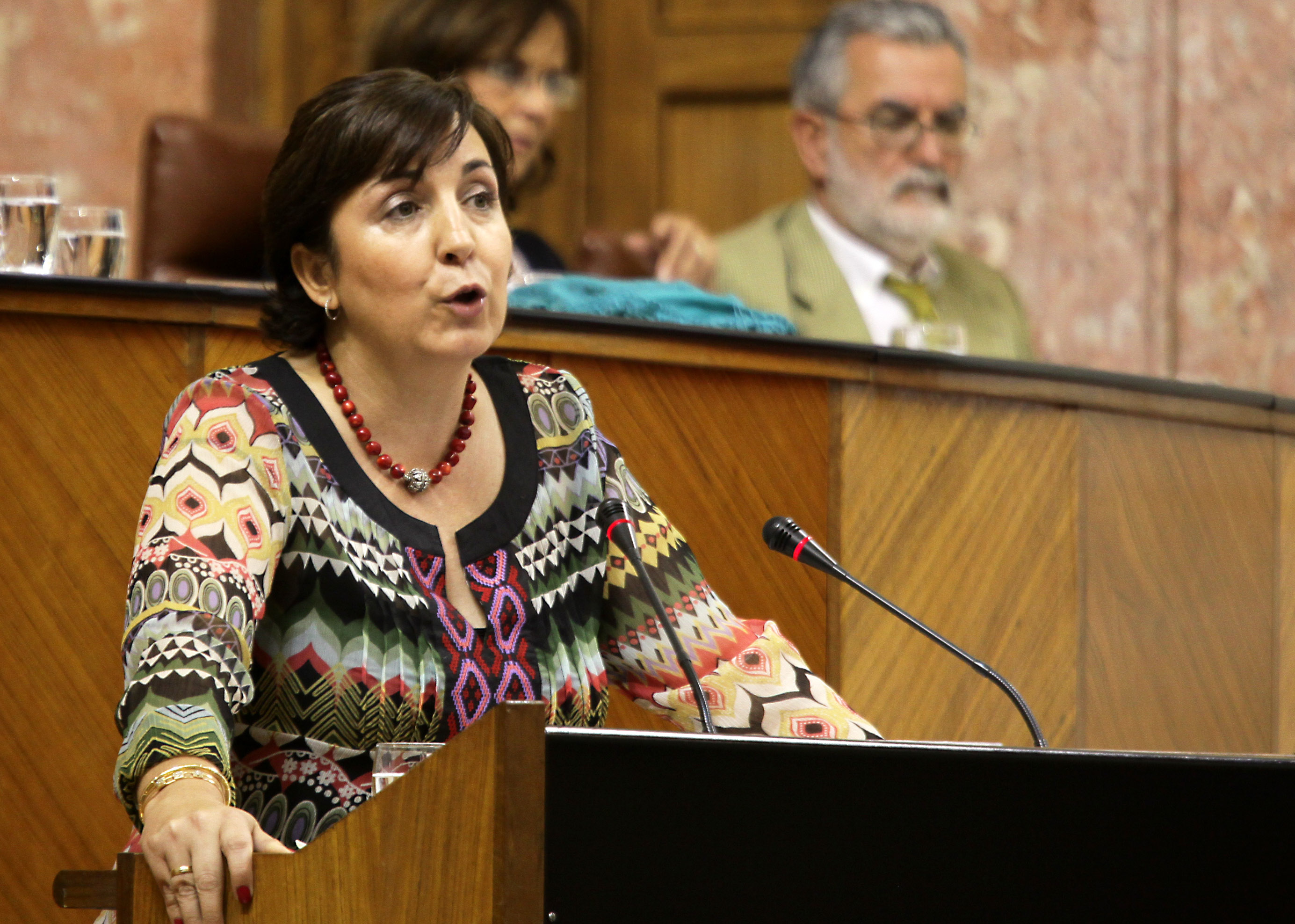 Ana Corredera, del Grupo Popular