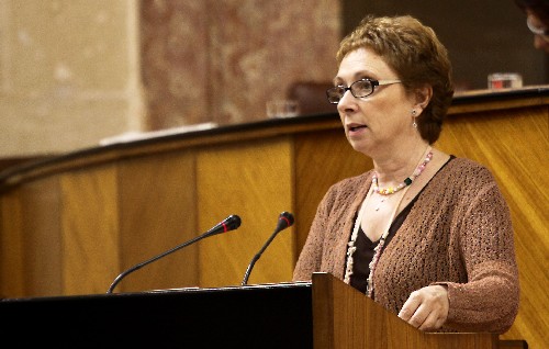 Mart�nez Aguayo durante su intervenci�n 