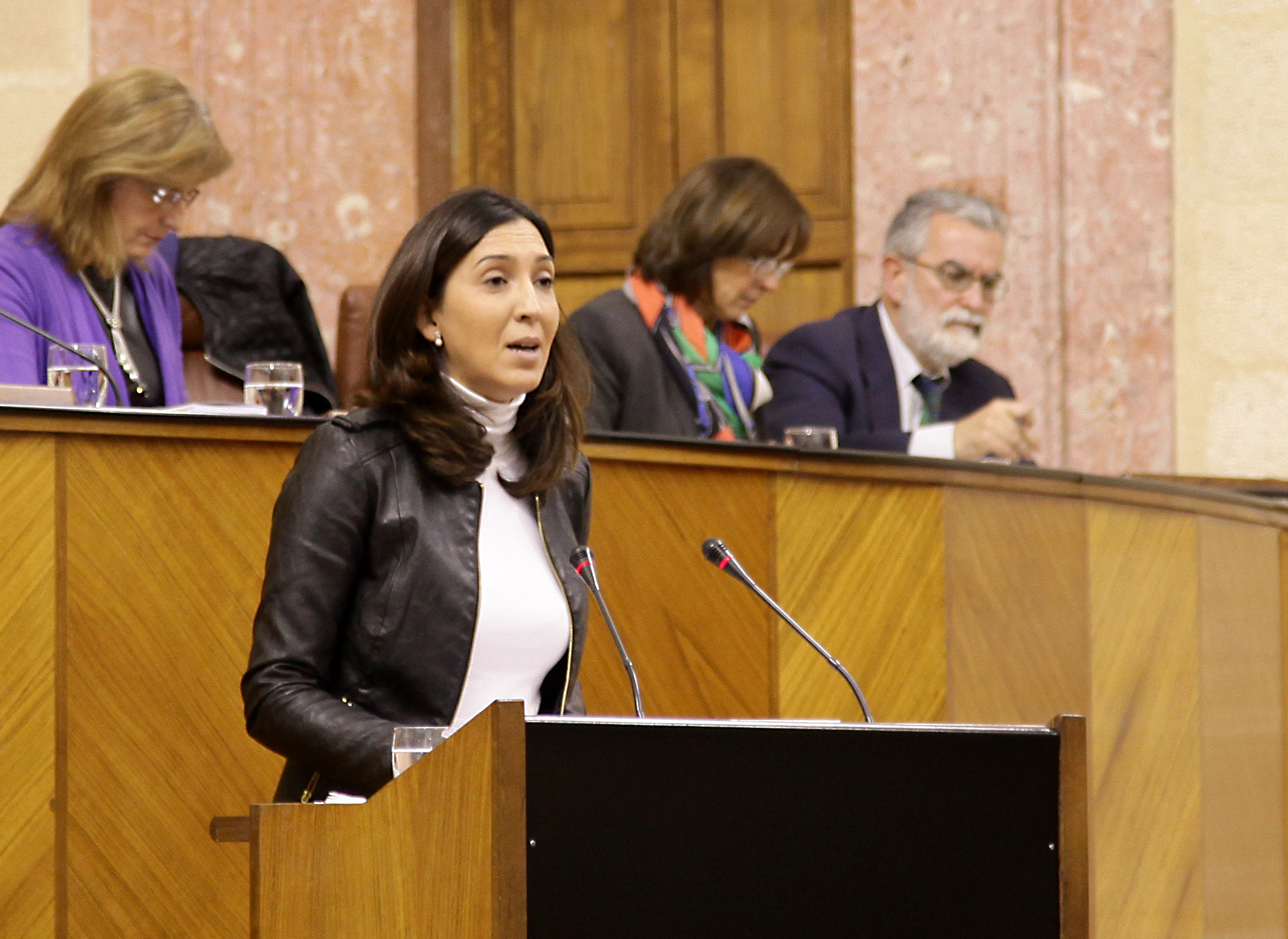 Mara Dolores Lpez, del Grupo parlamentario Popular