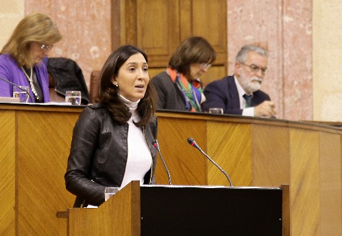 Mara Dolores Lpez, del Grupo parlamentario Popular