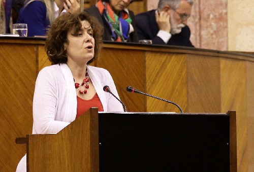 Alba Doblas, del Grupo parlamentario IULV-CA