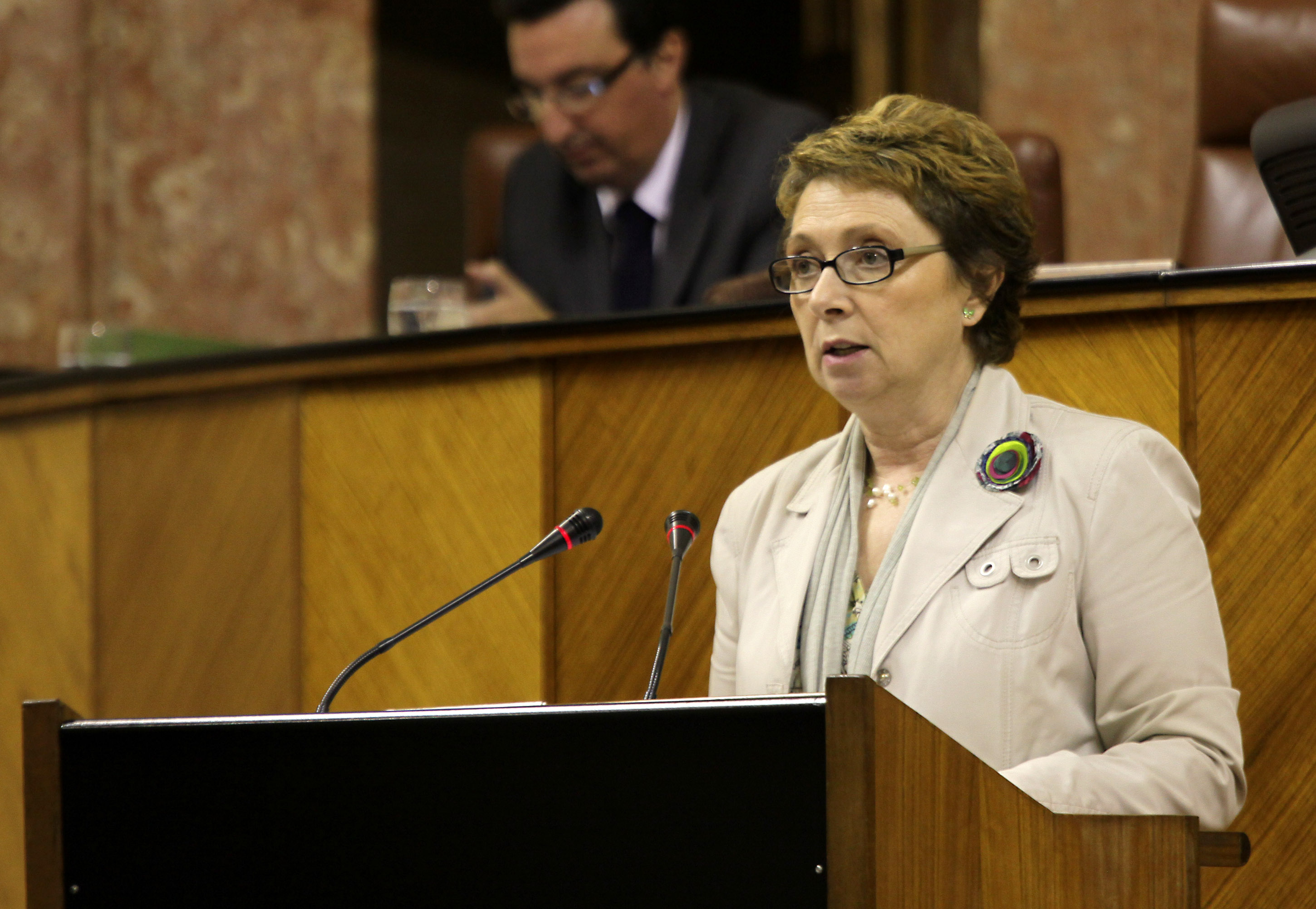 La consejera de Hacienda y Administracin Pblica, Carmen Martnez Aguayo