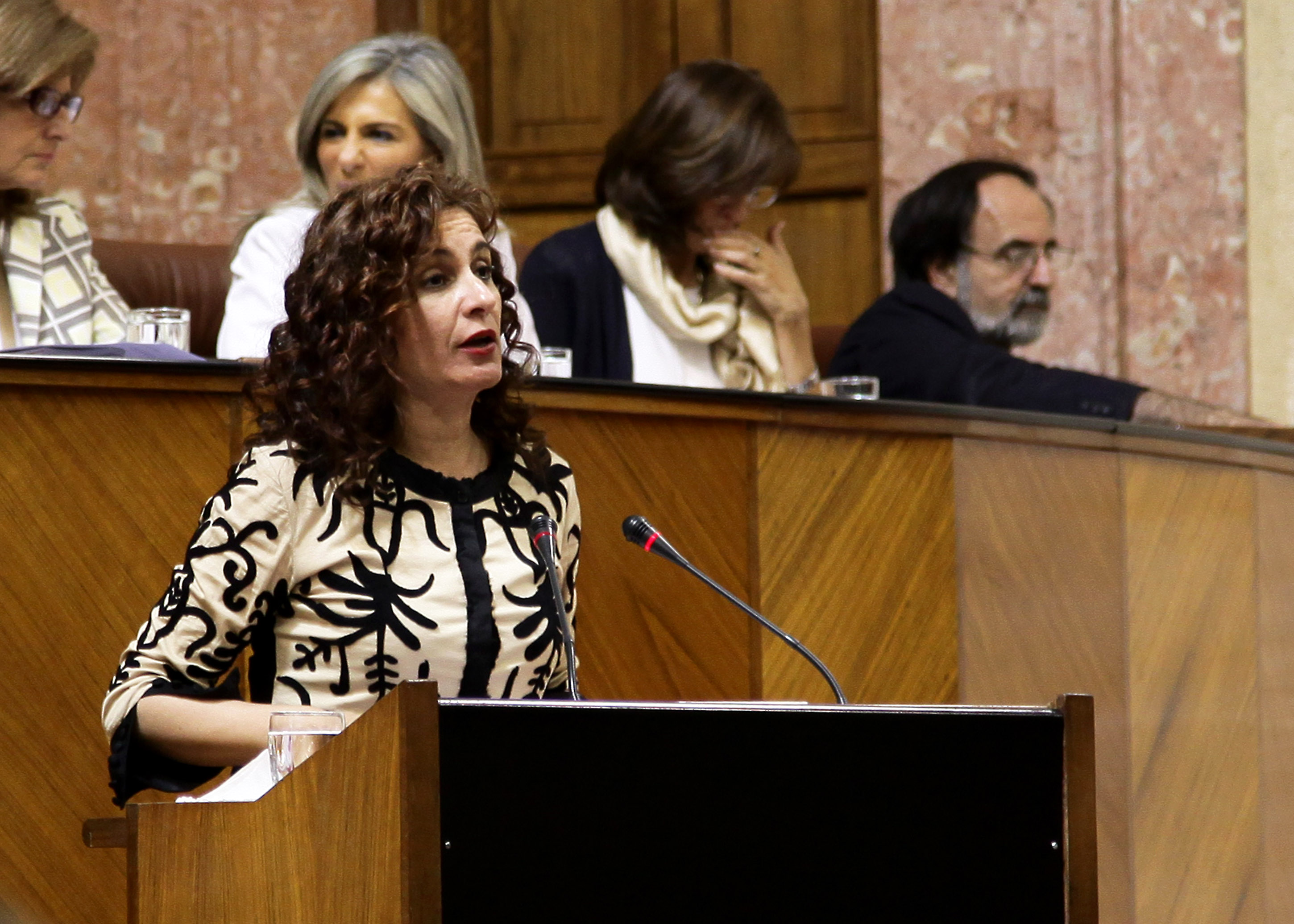 La consejera de Salud y Bienestar Social, Mar�a Jes�s Montero, presenta al Pleno el Decreto Ley de medidas urgentes contra la exclusi�n social