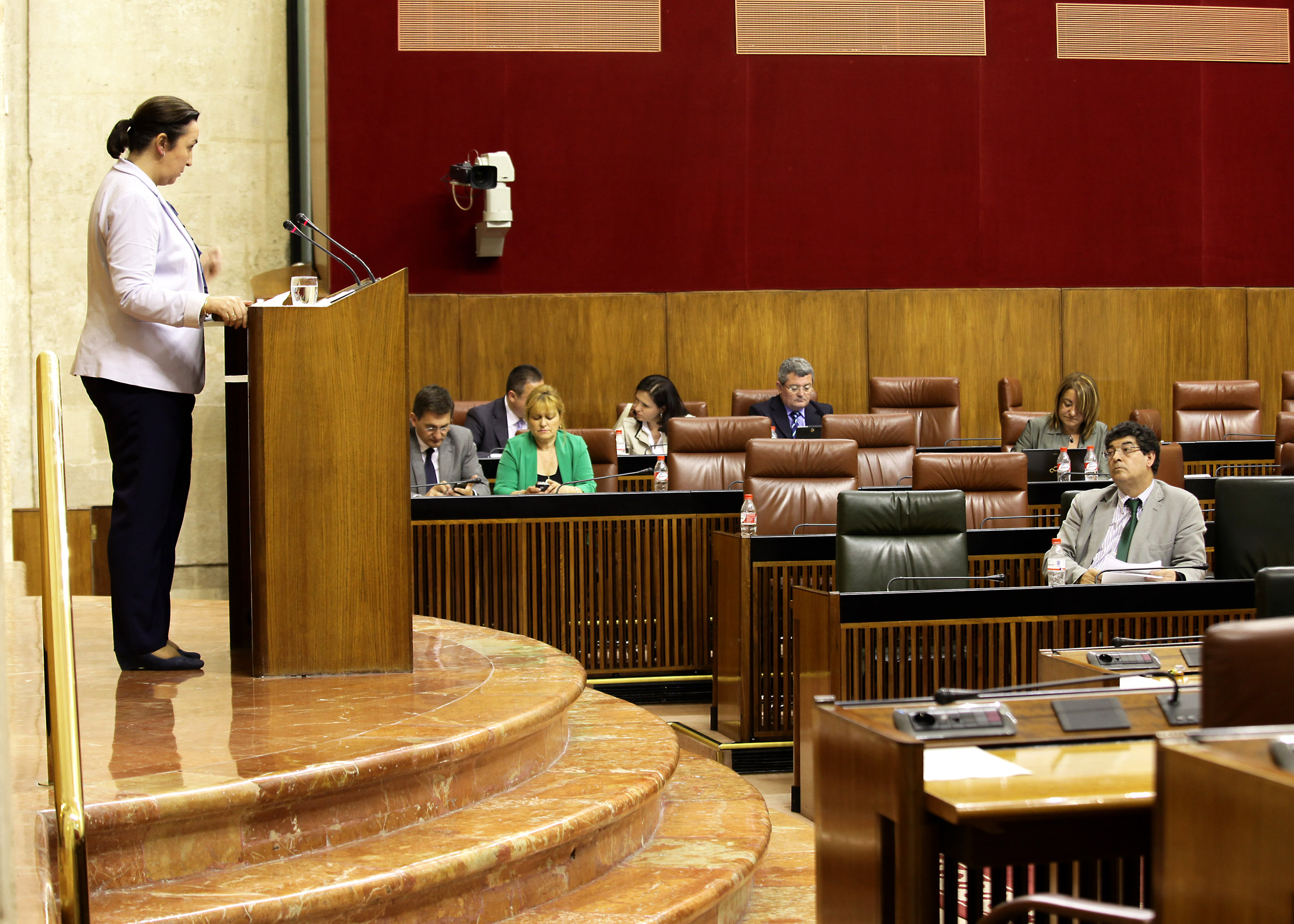 Ana Mar�a Corredera, del Grupo Popular, durante el debate sobre cooperaci�n internacional