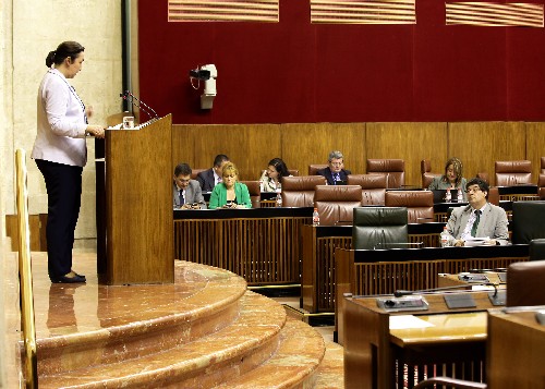 Ana Mar�a Corredera, del Grupo Popular, durante el debate sobre cooperaci�n internacional