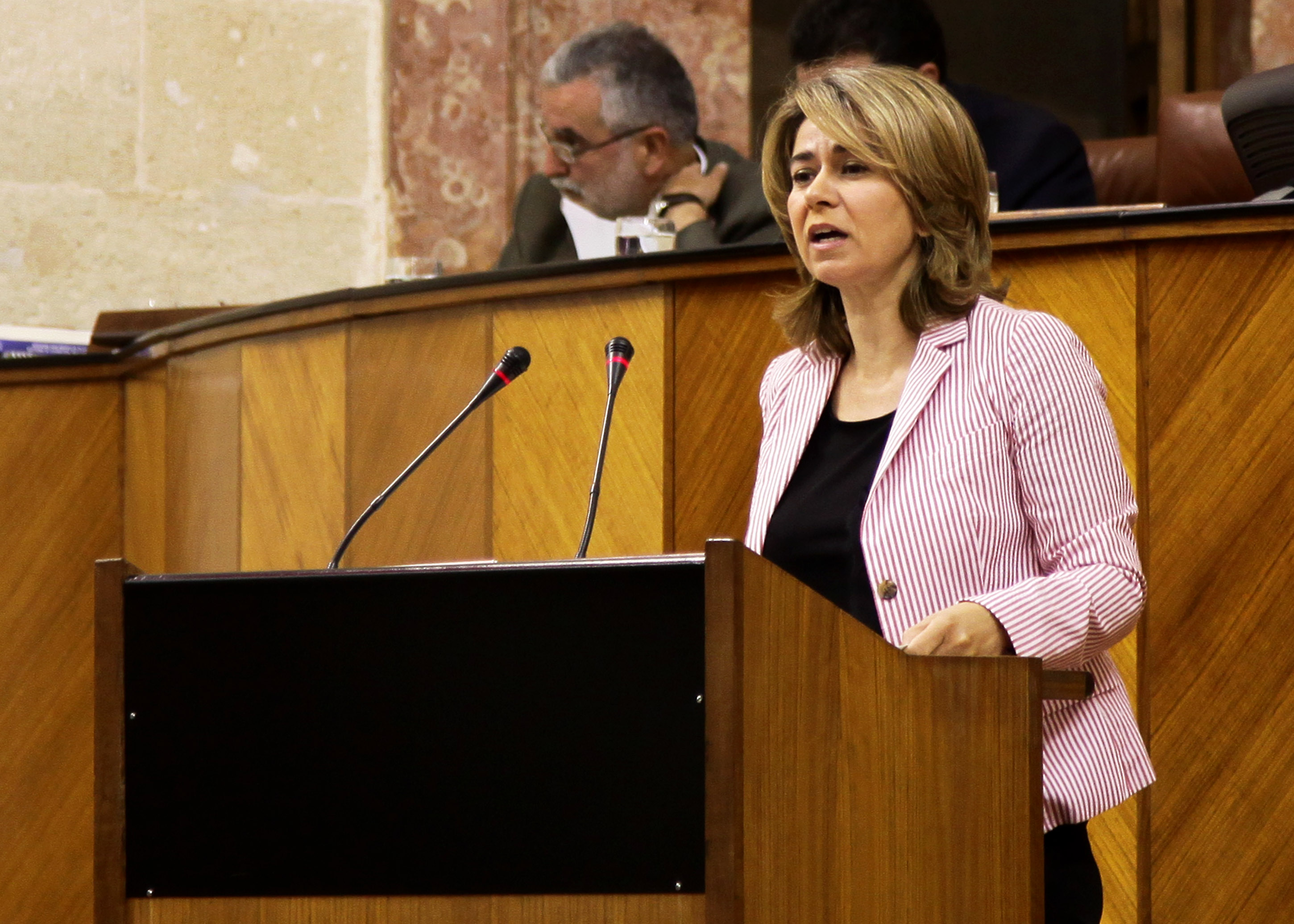 Teresa Ruiz Sillero, del Grupo parlamentario Popular, presenta una interpelaci�n relativa a pol�tica general en materia de empleo