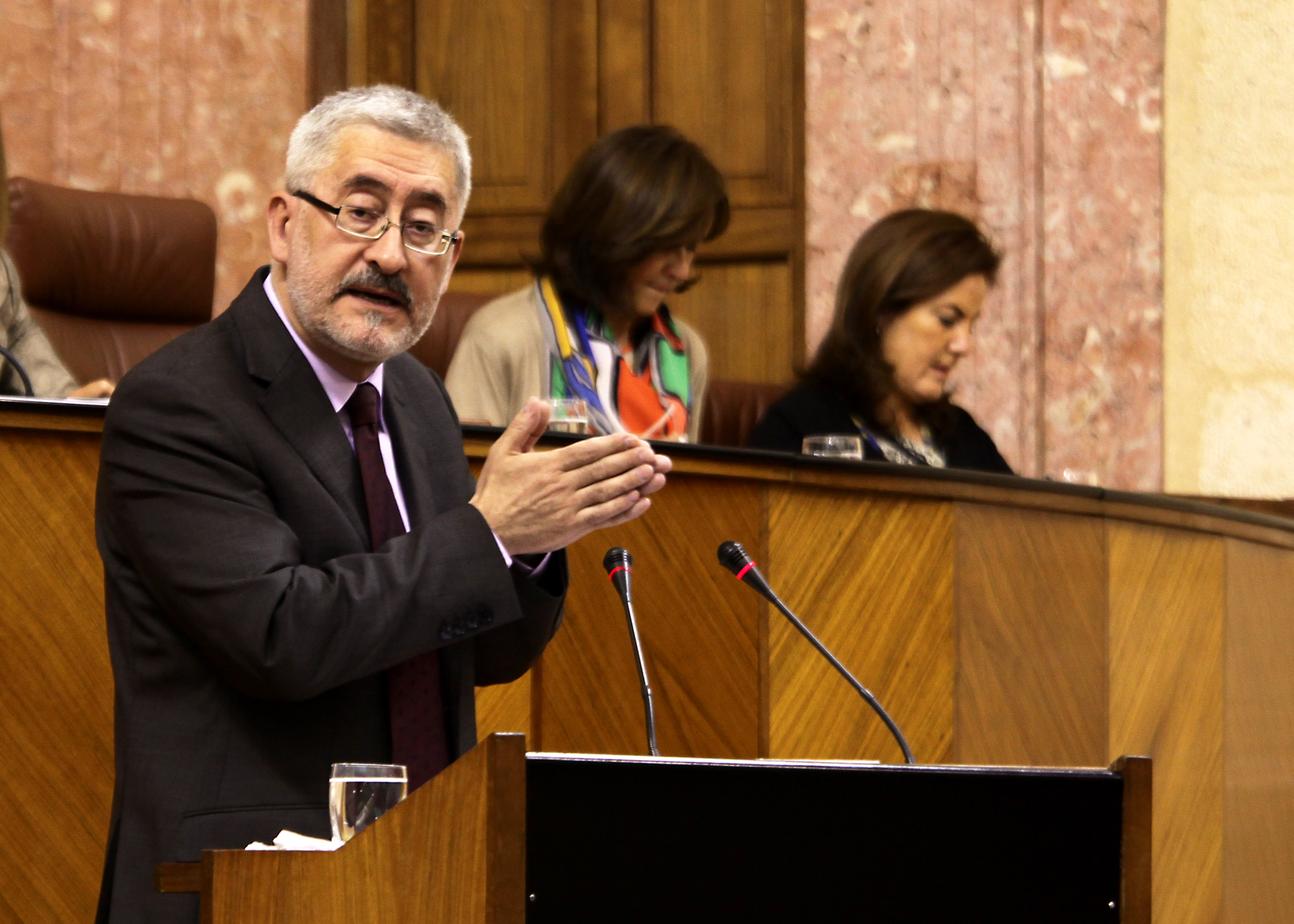 El consejero de Econom�a, Innovaci�n, Ciencia y Empleo responde a la interpelaci�n planteada por el Grupo Popular