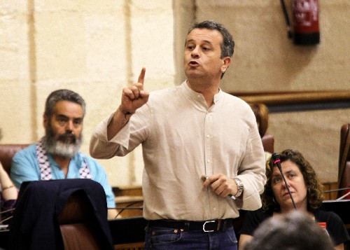 Jos� Antonio Castro, portavoz del Grupo IULV-CA, en la sesi�n de control