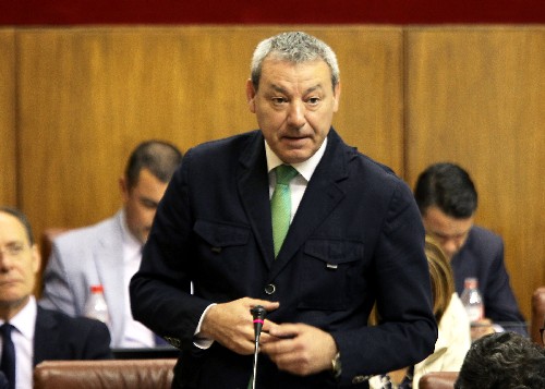 El portavoz del Grupo Socialista, Francisco �lvarez de la Chica, en el Pleno