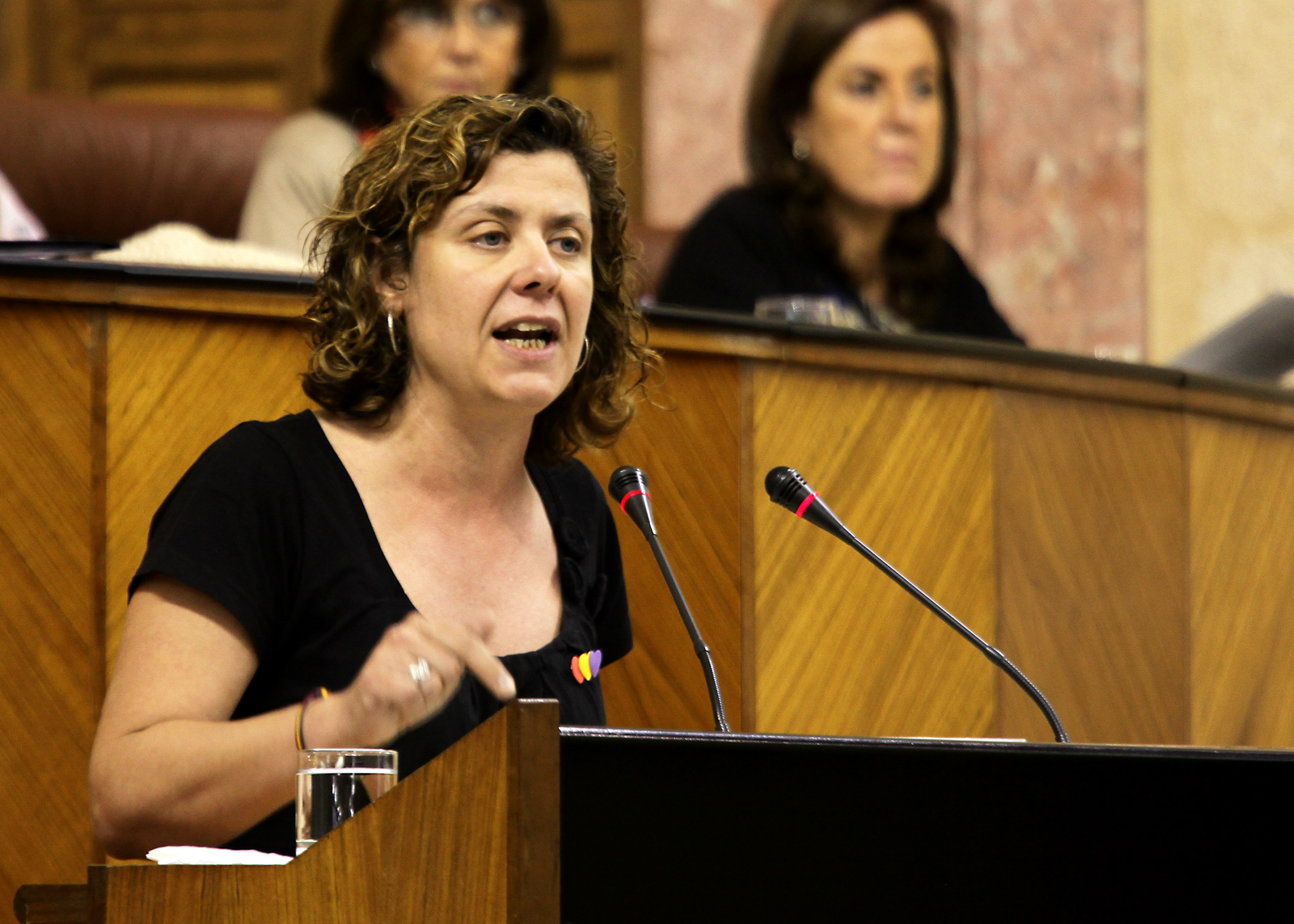 Alba Doblas, del Grupo parlamentario IULV-CA, presenta una proposici�n sobre interrupci�n voluntaria del embarazo